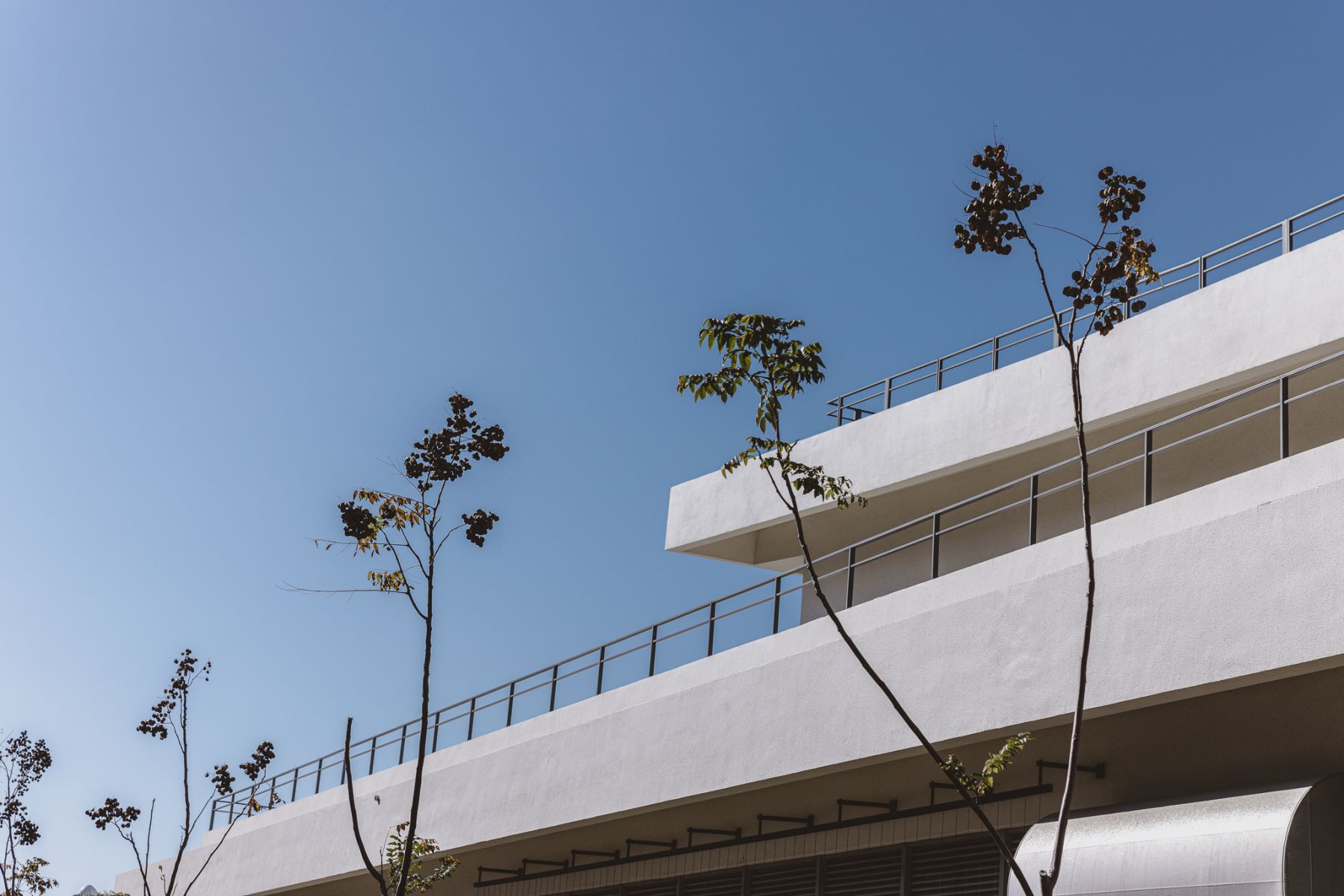 台南市安南水上運動訓練中心 11 23A9818