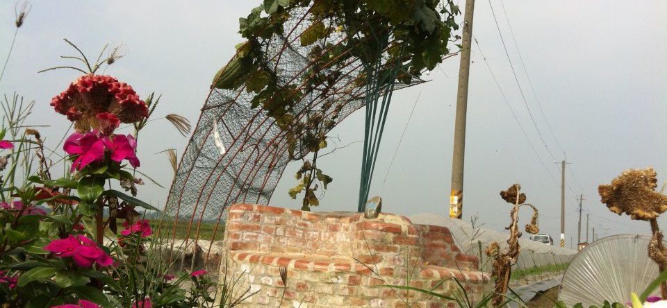 獎項-西瓜咬一口