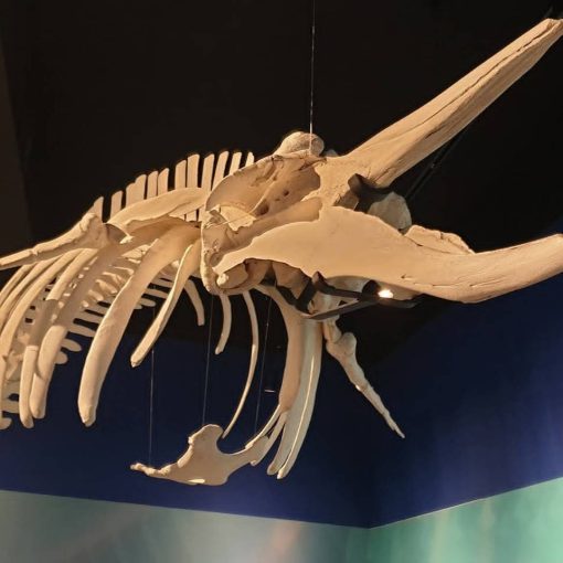 台南建築師事務所推薦｜高雄建築設計｜大山開發建築師事務所